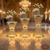 Silver radial spoke stands side view ballroom ascending heights golden uplighting marble